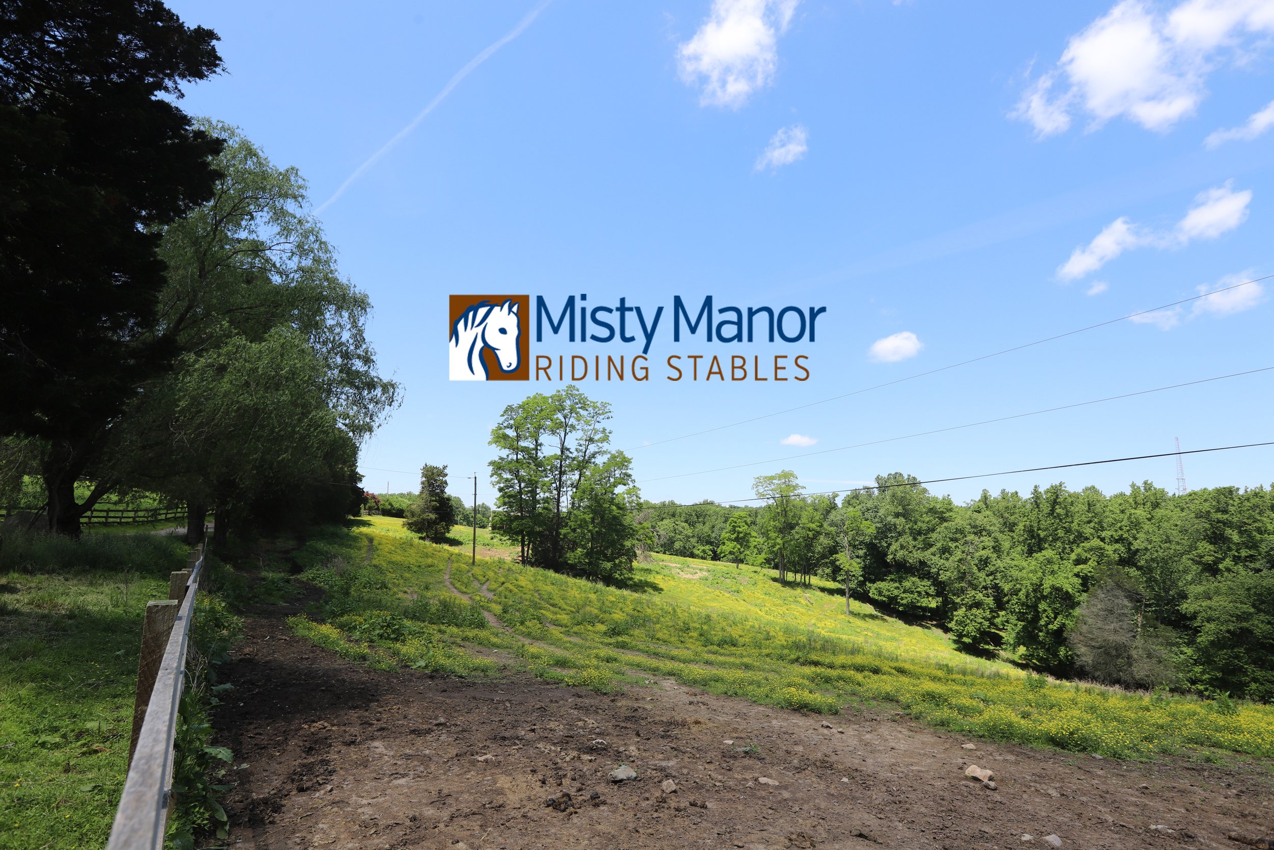 Misty Manor Banner
