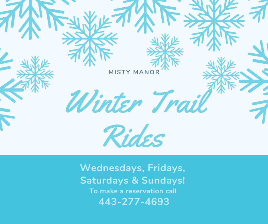 Winter at Misty Manor