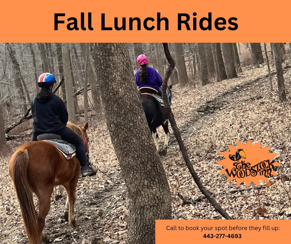 Horseback Ride to Lunch